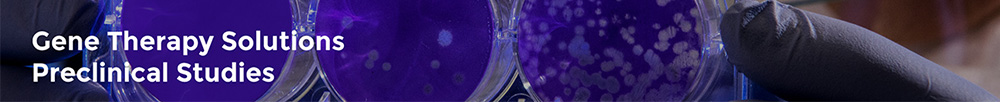 Preclinical Studies